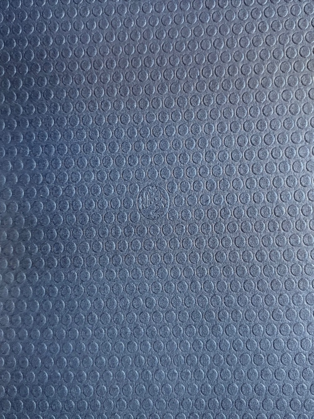 Manduka PRO Yoga Mat 6mm / Silver Logo / Rare color - Picture 6 of 14